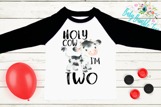 Holy Cow I'm Two // Second birthday // Two birthday shirt // Birthday Boy // Cake Smash Outfits / 2nd birthday / Toddler / Cow Farm Birthday