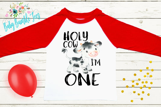 Holy Cow I'm One // First birthday // One birthday shirt // Birthday Boy // Cake Smash Outfits / 1st birthday / Toddler / Cow Farm Birthday